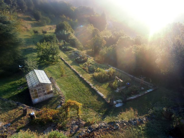 Potager automne