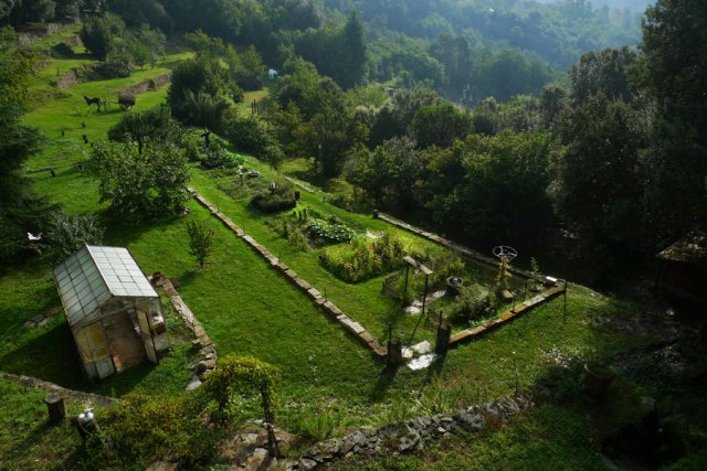 Potager été