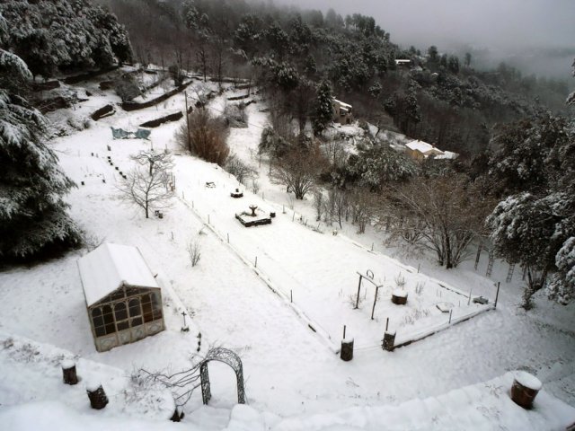 Potager hiver