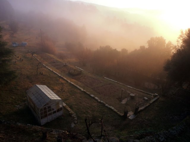 Potager matin