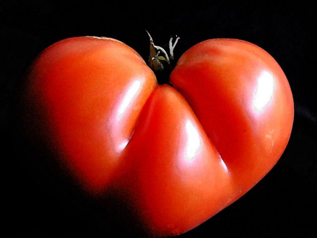 Tomate cœur