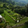 Potager été