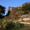 Vue du potager