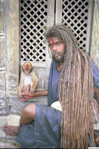 nepal--cat-saddhu-