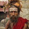 nepal--cat-saddhus-rouge-