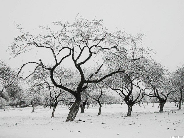 potchaiev-givre-5